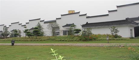 賈湖酒業(yè)集團生產區(qū)一角