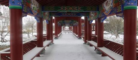 賈湖酒業(yè)雪景如畫(huà)（五）