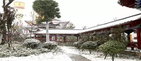 賈湖酒業(yè)雪景如畫(huà)（六）