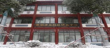 賈湖酒業(yè)雪景如畫(huà)（七）