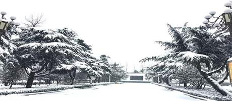 賈湖酒業(yè)雪景如畫(huà)（九）